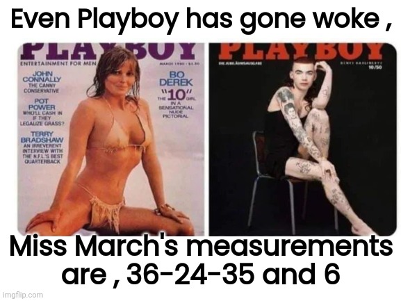 Everything is ruined | Even Playboy has gone woke , Miss March's measurements are , 36-24-35 and 6 | image tagged in blank white template,playboy,magazines,what the hell happened here,geh,see nobody cares | made w/ Imgflip meme maker