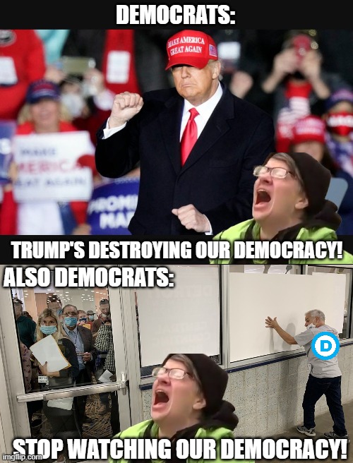 DEMOCRATS:; TRUMP'S DESTROYING OUR DEMOCRACY! ALSO DEMOCRATS:; STOP WATCHING OUR DEMOCRACY! | made w/ Imgflip meme maker