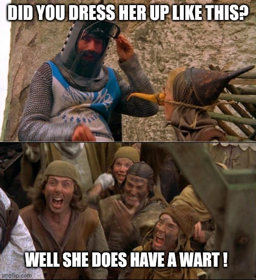 Burn the witch! | DID YOU DRESS HER UP LIKE THIS? WELL SHE DOES HAVE A WART ! | image tagged in burn the witch | made w/ Imgflip meme maker