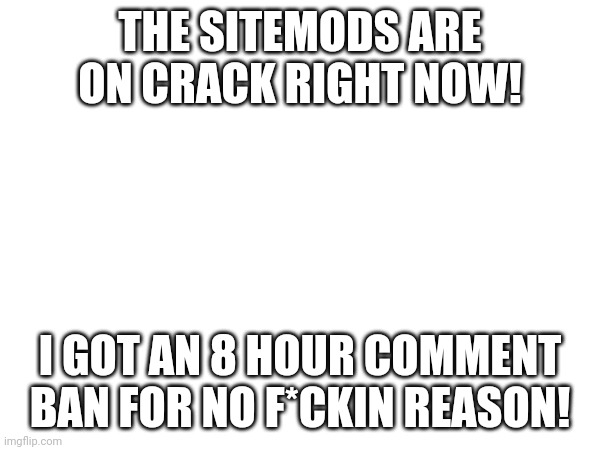 Literally pissed | THE SITEMODS ARE ON CRACK RIGHT NOW! I GOT AN 8 HOUR COMMENT BAN FOR NO F*CKIN REASON! | image tagged in rant | made w/ Imgflip meme maker