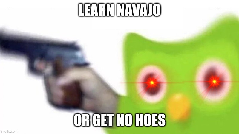 duolingo gun | LEARN NAVAJO OR GET NO HOES | image tagged in duolingo gun | made w/ Imgflip meme maker