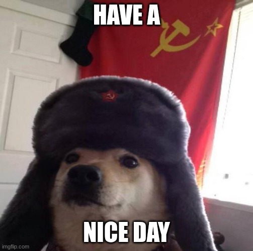 HAVE A NICE DAY | HAVE A; NICE DAY | image tagged in russian doge | made w/ Imgflip meme maker