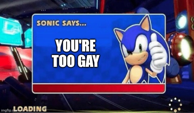 Sonic Says... YOU'RE TOO GAY | YOU'RE TOO GAY | image tagged in sonic says,gay,sonic the hedgehog,youre too slow sonic,sonic,memes | made w/ Imgflip meme maker