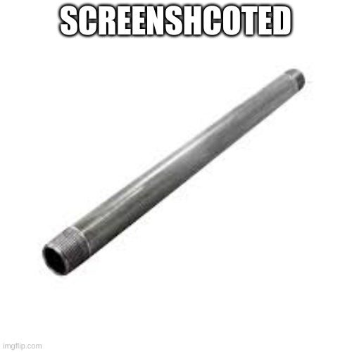 Metal pipe | SCREENSHCOTED | image tagged in metal pipe | made w/ Imgflip meme maker
