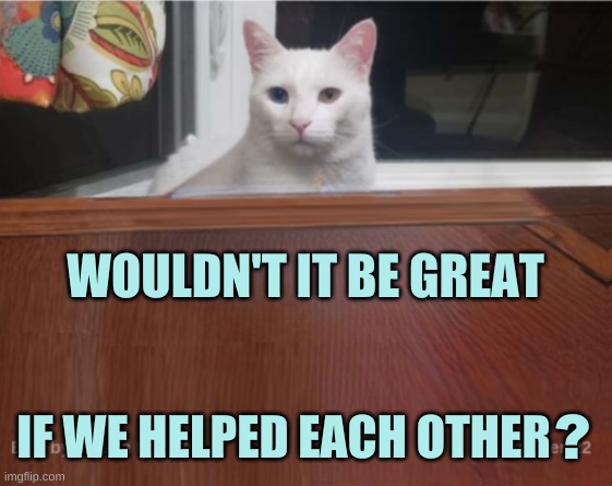 WOULDN'T IT BE GREAT; IF WE HELPED EACH OTHER; ? | image tagged in cats,teamwork,helpful,helping,that would be great,good idea | made w/ Imgflip meme maker