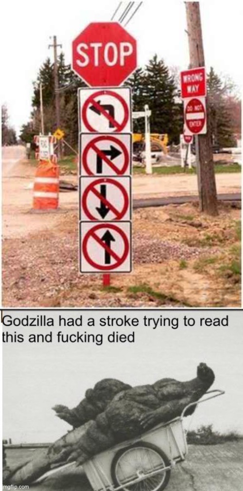 This is self explanatory | image tagged in godzilla had a stroke trying to read this and fricking died,stupid signs,confusion,oh wow are you actually reading these tags | made w/ Imgflip meme maker