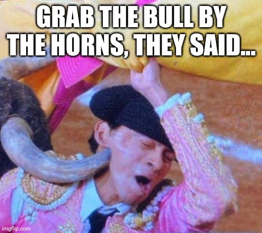 Grab Bull by the Horns | GRAB THE BULL BY THE HORNS, THEY SAID... | image tagged in memes,horn,bull | made w/ Imgflip meme maker