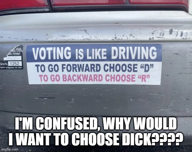 Choose D??? | I'M CONFUSED, WHY WOULD I WANT TO CHOOSE DICK???? | image tagged in politics | made w/ Imgflip meme maker