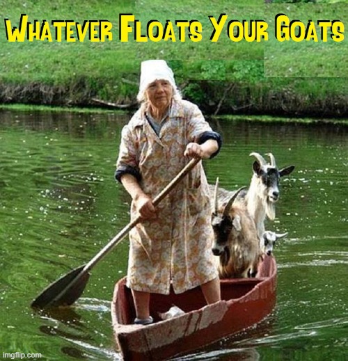 Ahoy, Matey! | image tagged in vince vance,old lady,goats,whatever,floats,memes | made w/ Imgflip meme maker