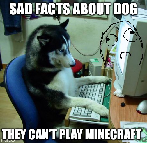 I Have No Idea What I Am Doing | SAD FACTS ABOUT DOG; THEY CAN’T PLAY MINECRAFT | image tagged in memes,i have no idea what i am doing | made w/ Imgflip meme maker