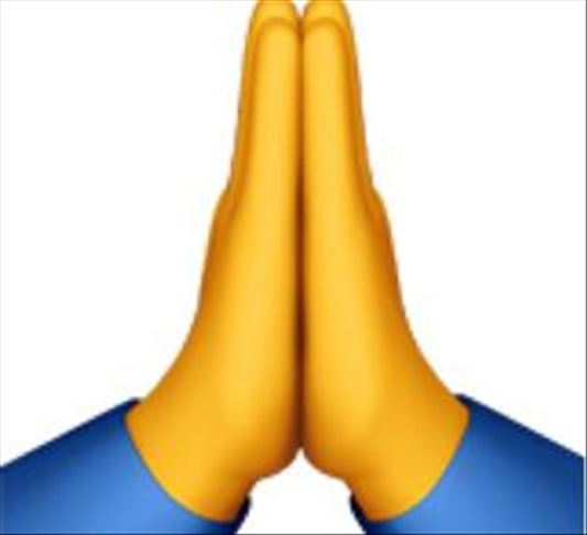 Praying emoji Blank Meme Template