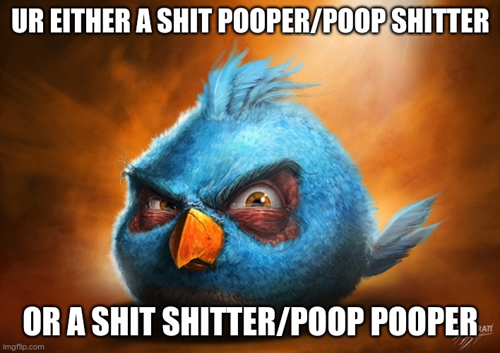 angry birds blue | UR EITHER A SHIT POOPER/POOP SHITTER; OR A SHIT SHITTER/POOP POOPER | image tagged in angry birds blue | made w/ Imgflip meme maker