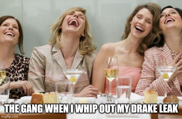 Laughing Women | THE GANG WHEN I WHIP OUT MY DRAKE LEAK | image tagged in laughing women | made w/ Imgflip meme maker