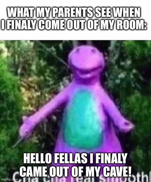 Cha cha real smooth | WHAT MY PARENTS SEE WHEN I FINALY COME OUT OF MY ROOM:; HELLO FELLAS I FINALY CAME OUT OF MY CAVE! | image tagged in cha cha real smooth | made w/ Imgflip meme maker