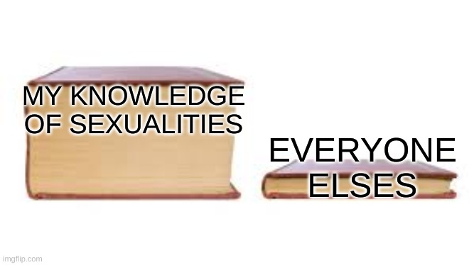 I'm to young!!! | MY KNOWLEDGE OF SEXUALITIES; EVERYONE ELSES | image tagged in big book small book | made w/ Imgflip meme maker