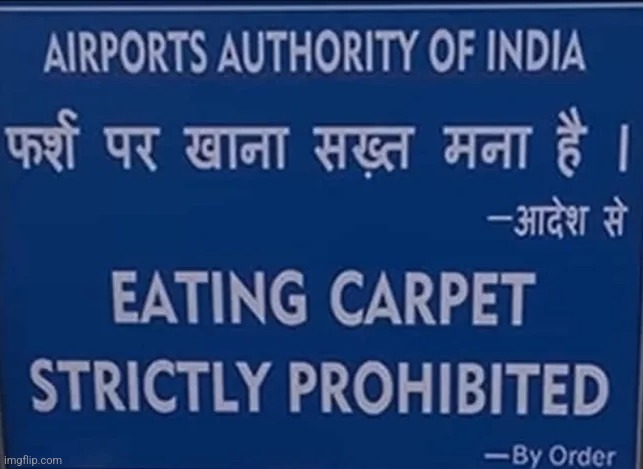 do not eat the carpet | image tagged in do not eat the carpet | made w/ Imgflip meme maker
