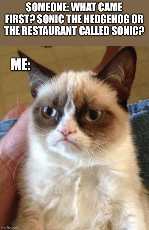 I didn’t know which is which! | SOMEONE: WHAT CAME FIRST? SONIC THE HEDGEHOG OR THE RESTAURANT CALLED SONIC? ME: | image tagged in memes,grumpy cat | made w/ Imgflip meme maker