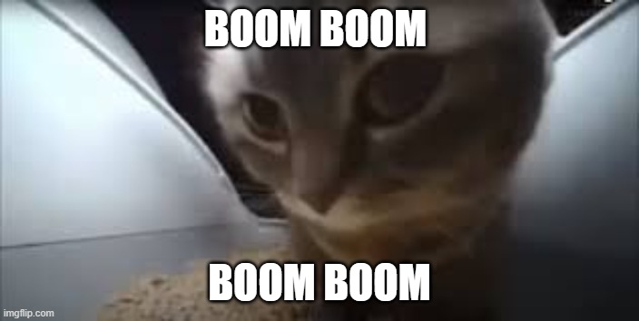 Dubidubidu Cat | BOOM BOOM; BOOM BOOM | image tagged in dubidubidu cat | made w/ Imgflip meme maker