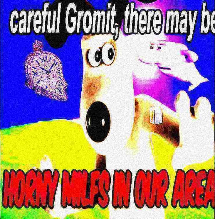 deep fried careful gromit,there may be horny milfs in our area Blank Meme Template