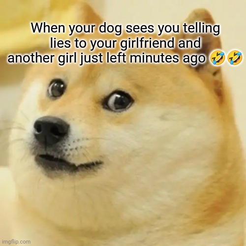 Doge Meme | When your dog sees you telling lies to your girlfriend and another girl just left minutes ago 🤣🤣 | image tagged in memes,doge | made w/ Imgflip meme maker