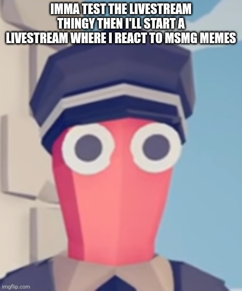 TABS Stare | IMMA TEST THE LIVESTREAM THINGY THEN I'LL START A LIVESTREAM WHERE I REACT TO MSMG MEMES | image tagged in tabs stare | made w/ Imgflip meme maker