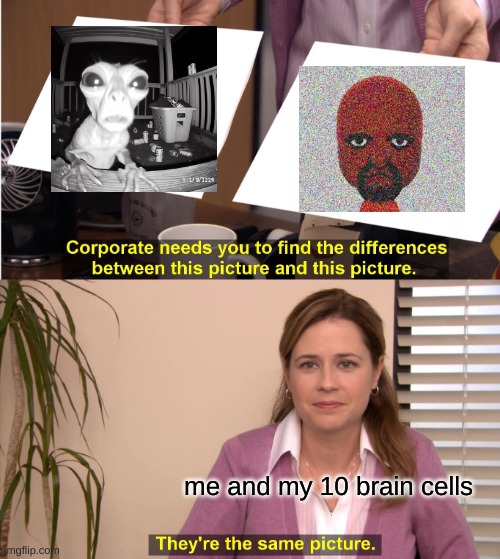 They're The Same Picture | me and my 10 brain cells | image tagged in memes,they're the same picture | made w/ Imgflip meme maker