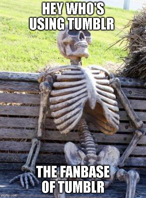 Waiting Skeleton Meme | HEY WHO'S USING TUMBLR; THE FANBASE OF TUMBLR | image tagged in memes,waiting skeleton | made w/ Imgflip meme maker