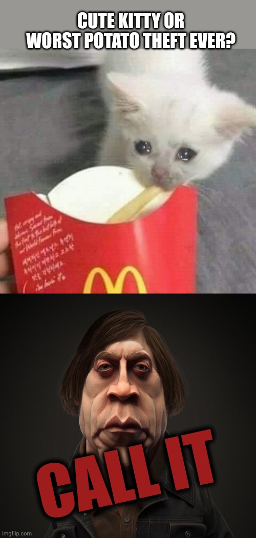 Call it | CUTE KITTY OR WORST POTATO THEFT EVER? CALL IT | image tagged in cat last of french fries mcdonalds,call it,potato,theif | made w/ Imgflip meme maker