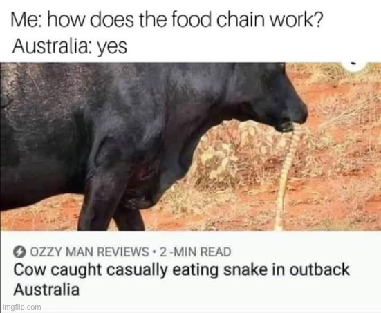 Ozzie Man meme | image tagged in australia,food | made w/ Imgflip meme maker