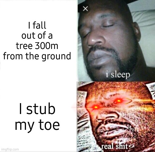 Sleeping Shaq | I fall out of a tree 300m from the ground; I stub my toe | image tagged in memes,sleeping shaq | made w/ Imgflip meme maker