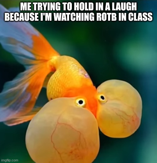 Mirage is great | ME TRYING TO HOLD IN A LAUGH BECAUSE I'M WATCHING ROTB IN CLASS | image tagged in fish holding in laugh,rotb,funny,transformers | made w/ Imgflip meme maker