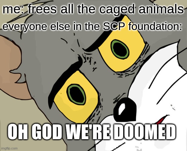 Unsettled Tom | me: frees all the caged animals; everyone else in the SCP foundation:; OH GOD WE'RE DOOMED | image tagged in memes,unsettled tom,scp meme | made w/ Imgflip meme maker