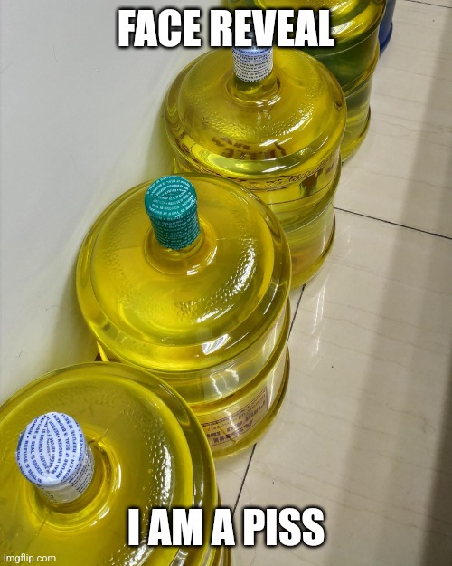 Piss Jugs | FACE REVEAL; I AM A PISS | image tagged in piss jugs | made w/ Imgflip meme maker