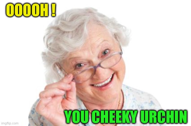 Grandma that's nice cool story bro | OOOOH ! YOU CHEEKY URCHIN | image tagged in grandma that's nice cool story bro | made w/ Imgflip meme maker