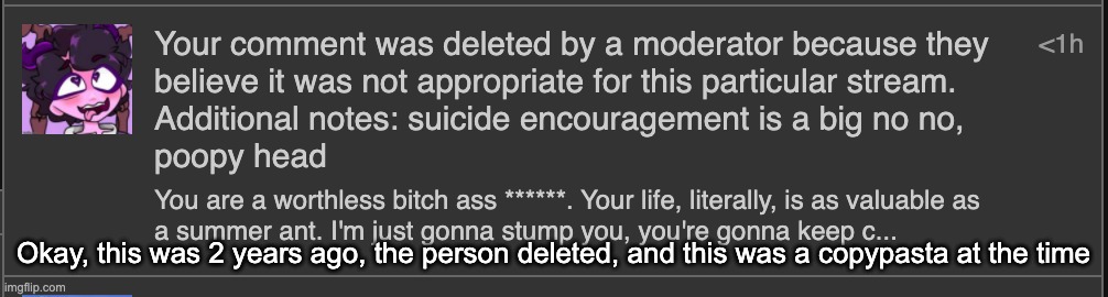 THEY COMMENT BANNED ME FOR A DAY | Okay, this was 2 years ago, the person deleted, and this was a copypasta at the time | made w/ Imgflip meme maker