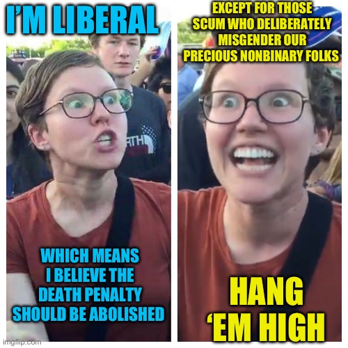Social Justice Warrior Hypocrisy | EXCEPT FOR THOSE SCUM WHO DELIBERATELY MISGENDER OUR PRECIOUS NONBINARY FOLKS; I’M LIBERAL; WHICH MEANS I BELIEVE THE DEATH PENALTY SHOULD BE ABOLISHED; HANG ‘EM HIGH | image tagged in social justice warrior hypocrisy | made w/ Imgflip meme maker