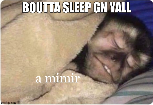 sleeping monkey | BOUTTA SLEEP GN YALL; a mimir | image tagged in sleeping monkey | made w/ Imgflip meme maker
