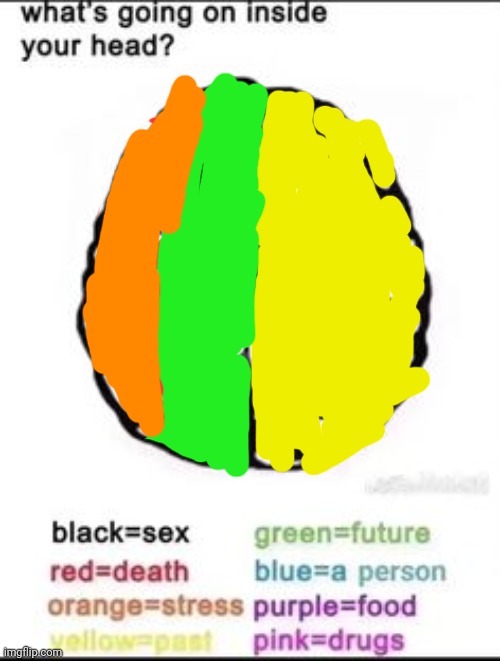 What's going on inside your head? | image tagged in what's going on inside your head | made w/ Imgflip meme maker