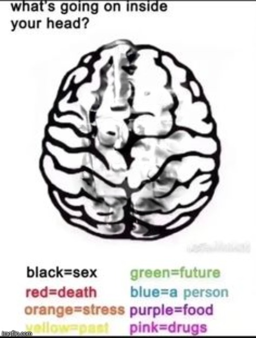 What's going on inside your head? | image tagged in what's going on inside your head | made w/ Imgflip meme maker