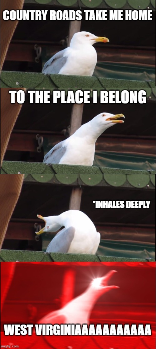 Inhaling Seagull Meme | COUNTRY ROADS TAKE ME HOME; TO THE PLACE I BELONG; *INHALES DEEPLY; WEST VIRGINIAAAAAAAAAAA | image tagged in memes,inhaling seagull | made w/ Imgflip meme maker