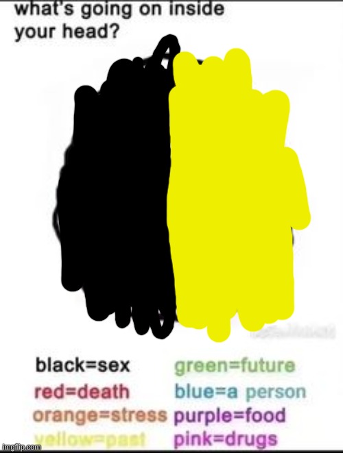 What's going on inside your head? | image tagged in what's going on inside your head | made w/ Imgflip meme maker