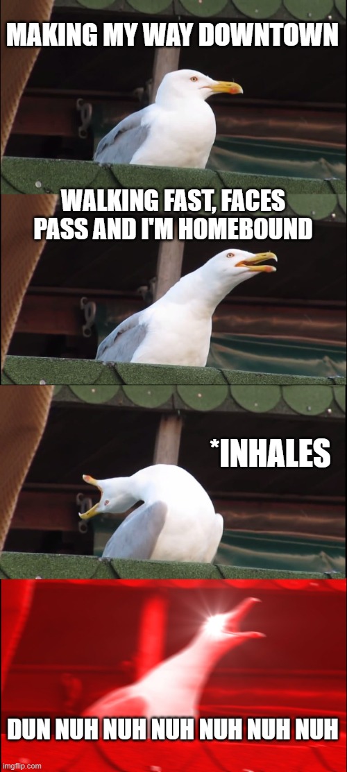 Inhaling Seagull Meme | MAKING MY WAY DOWNTOWN; WALKING FAST, FACES PASS AND I'M HOMEBOUND; *INHALES; DUN NUH NUH NUH NUH NUH NUH | image tagged in memes,inhaling seagull | made w/ Imgflip meme maker