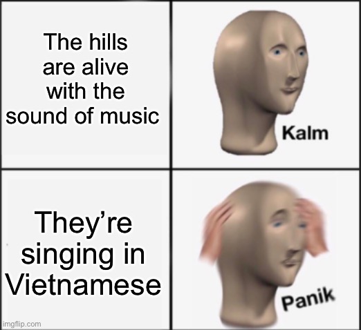 Ruh roh | The hills are alive with the sound of music; They’re singing in Vietnamese | image tagged in kalm panik | made w/ Imgflip meme maker