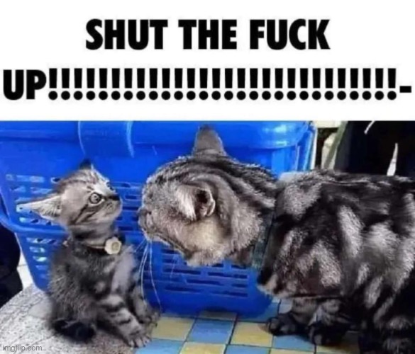 SHUT THE FUCK UP!!!!!!!!!!!!! | image tagged in shut the fuck up | made w/ Imgflip meme maker