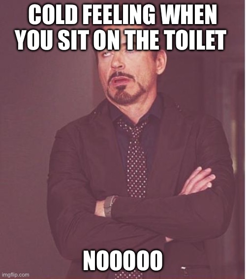 real | COLD FEELING WHEN YOU SIT ON THE TOILET; NOOOOO | image tagged in memes,face you make robert downey jr | made w/ Imgflip meme maker