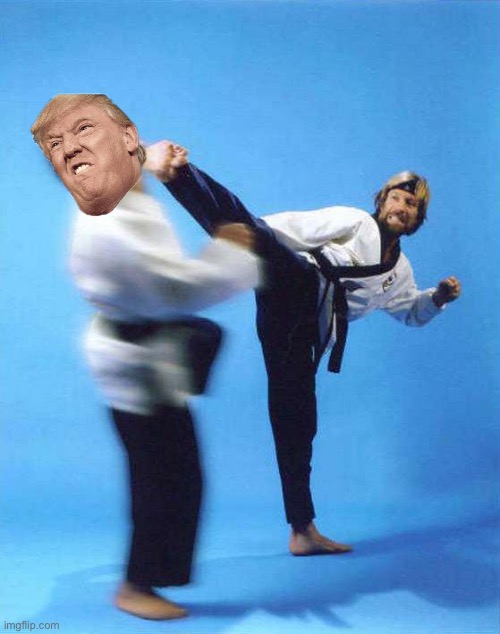 Roundhouse Kick Chuck Norris | image tagged in roundhouse kick chuck norris | made w/ Imgflip meme maker