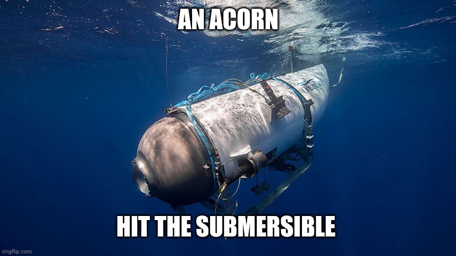 The acorn hit the submersible | AN ACORN; HIT THE SUBMERSIBLE | image tagged in titanic submersible,acorn,submersible,funny | made w/ Imgflip meme maker