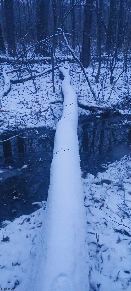 SNOWY TREE BRIDGE | image tagged in forest,woods,winter,snow | made w/ Imgflip meme maker
