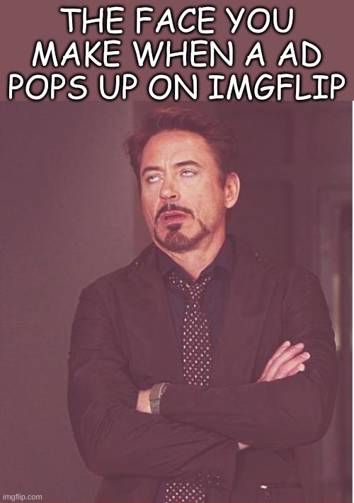 i shouuld buy pro | THE FACE YOU MAKE WHEN A AD POPS UP ON IMGFLIP | image tagged in memes,face you make robert downey jr | made w/ Imgflip meme maker