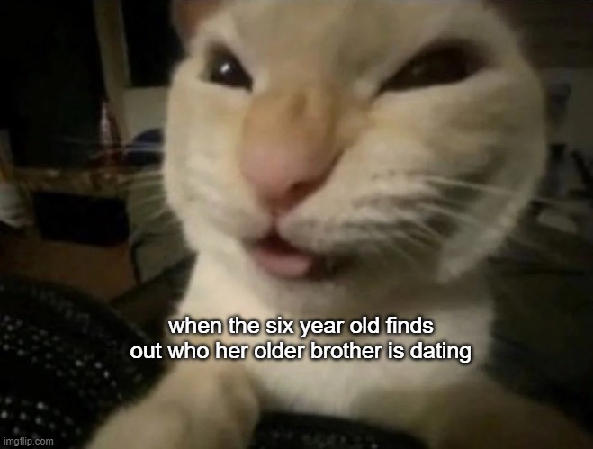 cheaky_kitty | when the six year old finds out who her older brother is dating | image tagged in cat,meme,funny,siblings,date | made w/ Imgflip meme maker